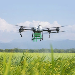 cach-phong-tru-benh-dao-on-cho-cay-lua