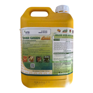 (PB) OVER GREEN GOLD CAN 5 LÍT