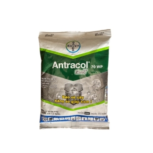 (BỆNH) ANTRACOL 70WP GÓI 100G