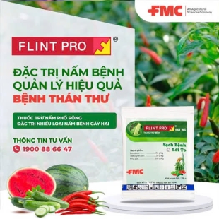 (BỆNH) FLINTPRO 648WG GÓI 100G