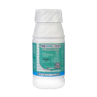 (ĐHST) Frusome 8SL CHAI 200ML