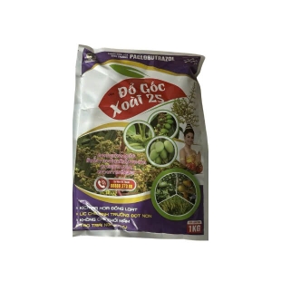 (ĐHST) ĐỔ GÓC - XOÀI 2S GÓI 1KG